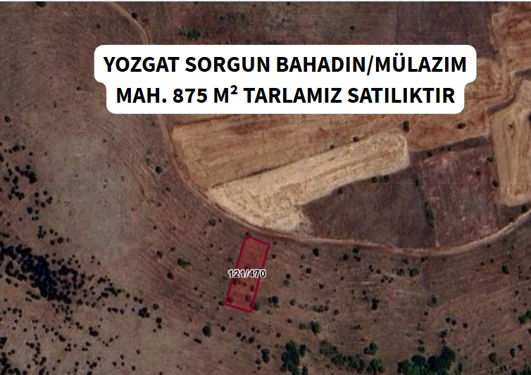 YOZGAT SORGUN BAHADIN-MÜLAZIM KÖYÜNDE 875 M² TARLA SATILIKTIR. - YOZGAT SORGUN fotoğraf 7